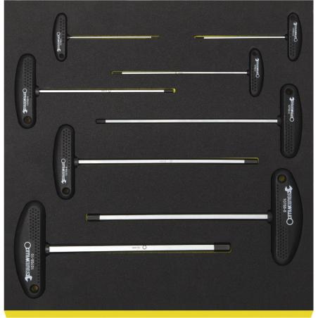 TCS 10768/8 - Moduł kluczy trzpieniowych 6-kątnych z uchwytem, 2 - 10 mm (8 szt.), wkładka piankowa TCS 10768/8 - Moduł kluczy trzpieniowych 6-kątnych z uchwytem, 2 - 10 mm (8 szt.), wkładka piankowa