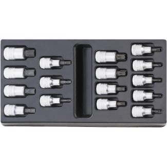 ES 54X/54TX - Moduł nasadek trzpieniowych 1/2" do śrub XZN® i Torx®, M5 - M16, T20 - T60 (16 szt.), wkładka plastikowa