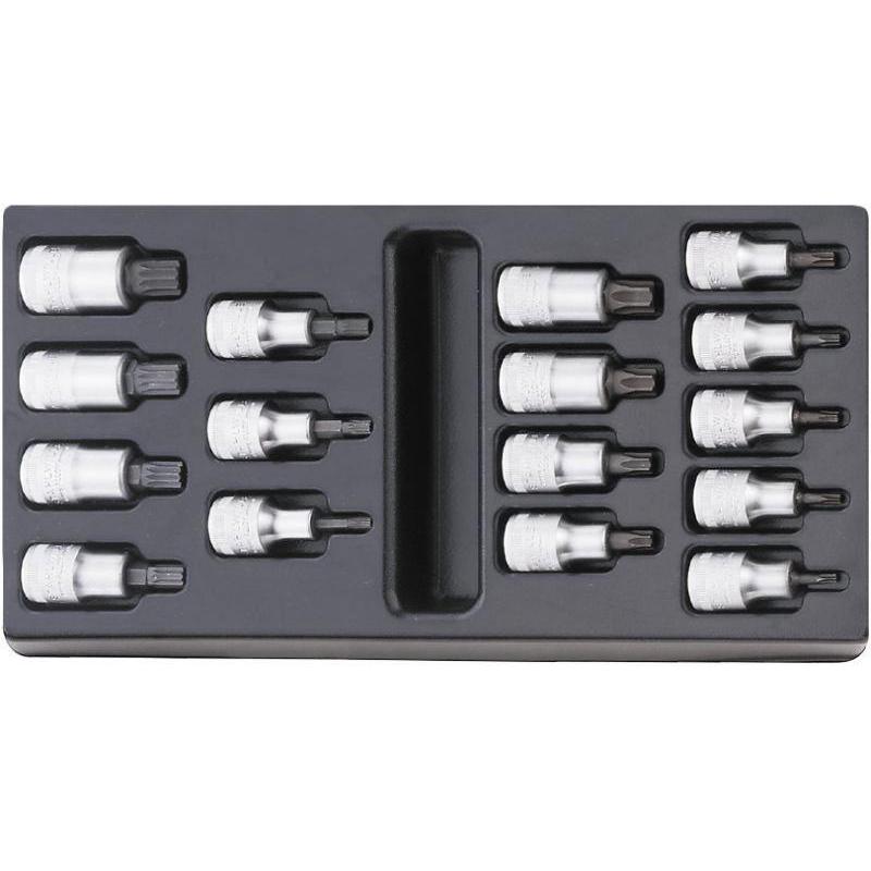 ES 54X/54TX - Moduł nasadek trzpieniowych 1/2" do śrub XZN® i Torx®, M5 - M16, T20 - T60 (16 szt.), wkładka plastikowa ES 54X/54TX - Moduł nasadek trzpieniowych 1/2" do śrub XZN® i Torx®, M5 - M16, T20 - T60 (16 szt.), wkładka plastikowa