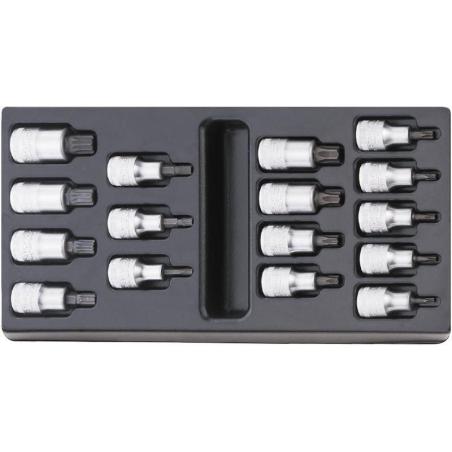 ES 54X/54TX - Moduł nasadek trzpieniowych 1/2" do śrub XZN® i Torx®, M5 - M16, T20 - T60 (16 szt.), wkładka plastikowa ES 54X/54TX - Moduł nasadek trzpieniowych 1/2" do śrub XZN® i Torx®, M5 - M16, T20 - T60 (16 szt.), wkładka plastikowa