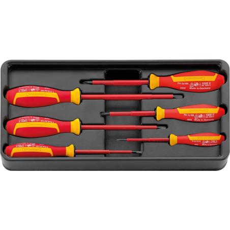 ES 4660/4665 VDE/6 - Moduł wkrętaków izolowanych VDE do śrub z rowkiem i Phillips, 2,5-6,5mm, PH1-PH2(6 szt.) wkładka plastikowa ES 4660/4665 VDE/6 - Moduł wkrętaków izolowanych VDE do śrub z rowkiem i Phillips, 2,5-6,5mm, PH1-PH2(6 szt.) wkładka plastikowa
