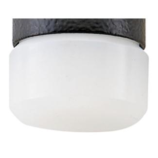 10959 R30 - Końcówka wymienna, poliuretanowa, 30 mm do młotka 10959 30