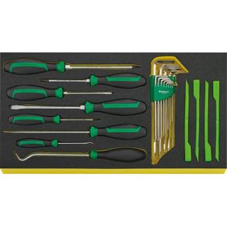 TCS 13214A/1 WT/LM 5 - Moduł wkrętaków i skrobaków + klucze trzpieniowe, do skrzyni 13217 (25 szt.), wkładka piankowa, 96831108